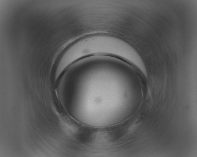 X0000051860252200506241328