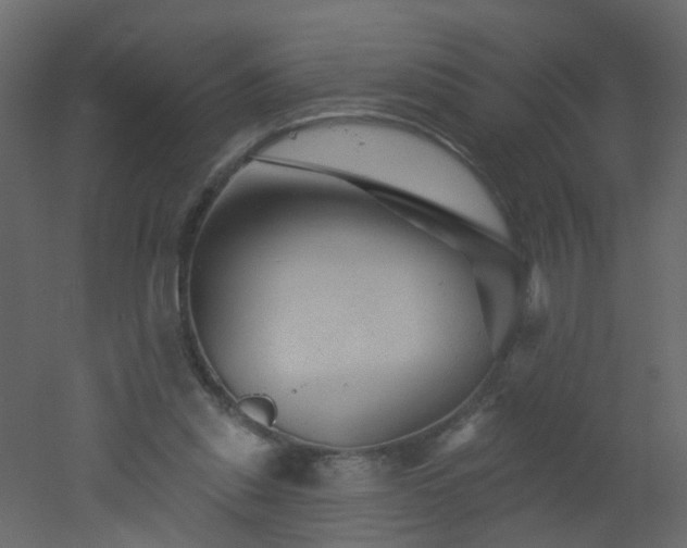 X0000051860253200506241328