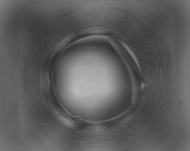 X0000051860254200506241328