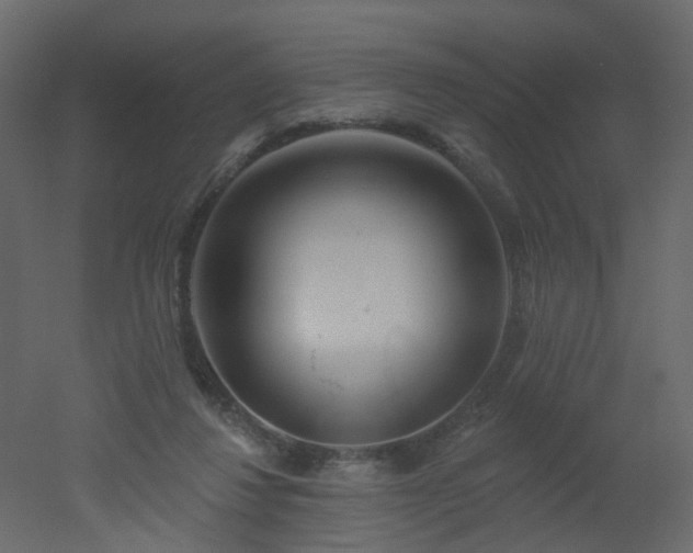 X0000051860260200506241329