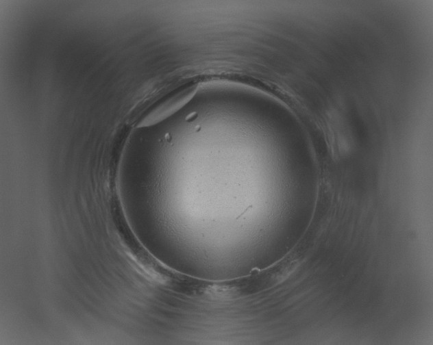 X0000051860261200506241329