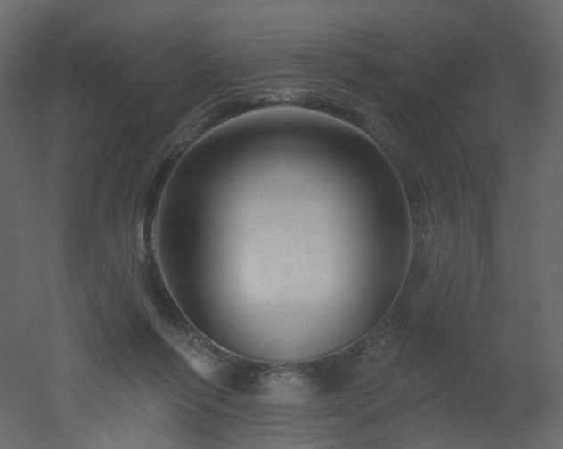 X0000051860262200506241329