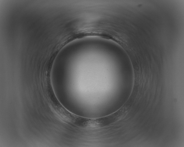 X0000051860263200506241329