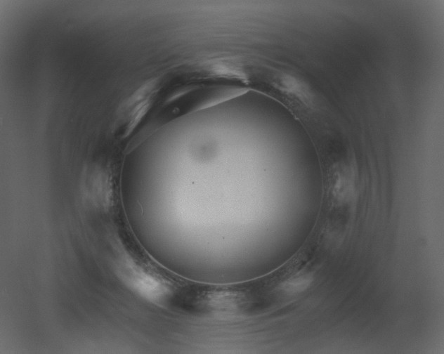 X0000051860268200506241329