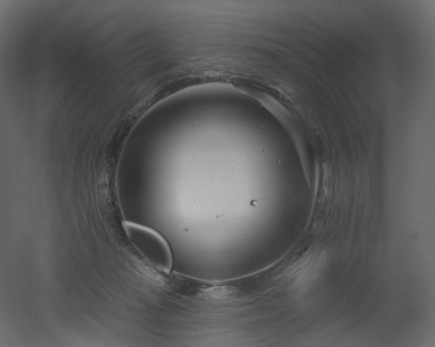 X0000051860269200506241329