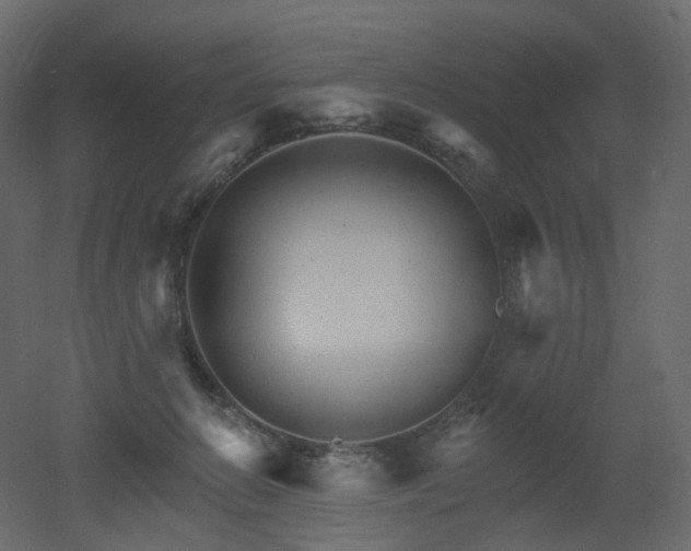 X0000051860270200506241329