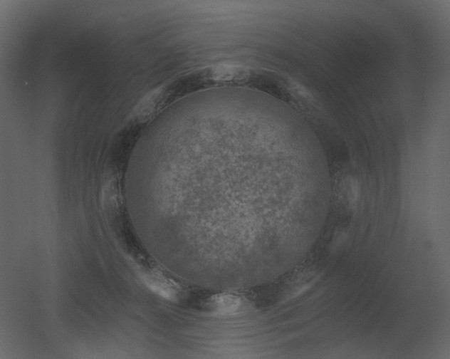 X0000051860272200506241329