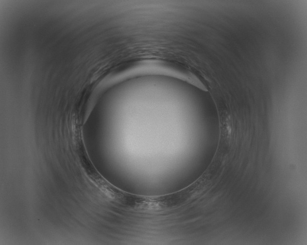 X0000051860276200506241329