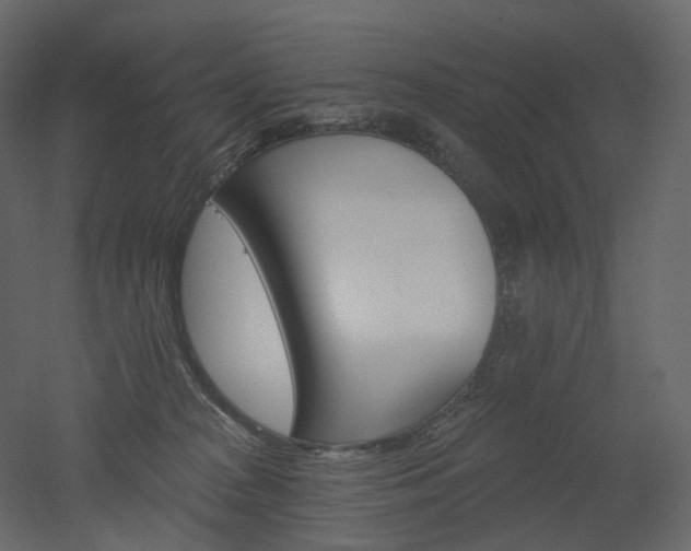 X0000051860277200506241329