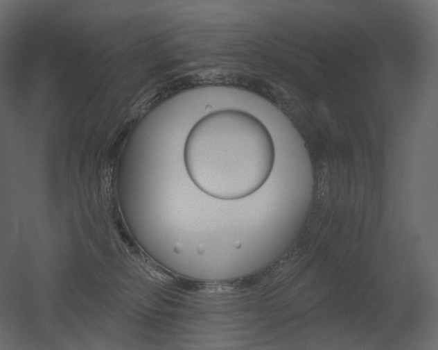 X0000051860278200506241329