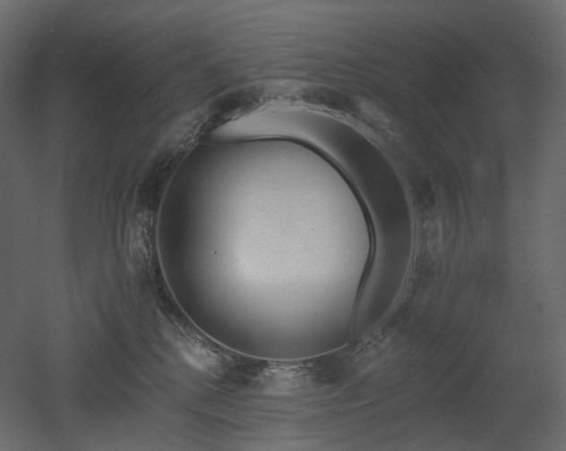 X0000051860280200506241329