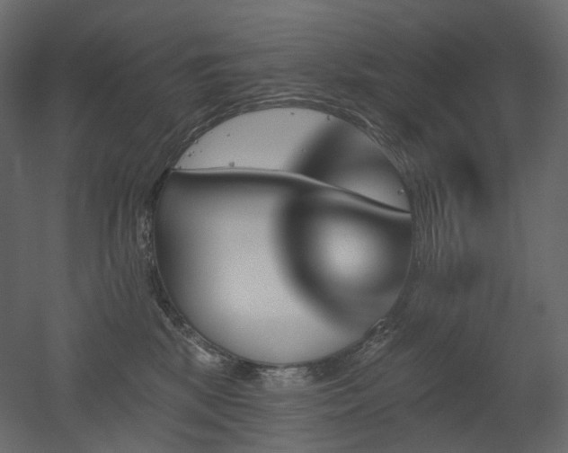 X0000051860281200506241329