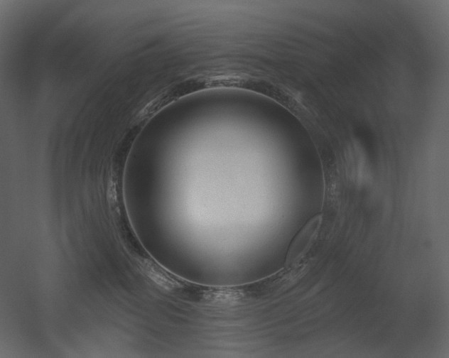 X0000051860282200506241329