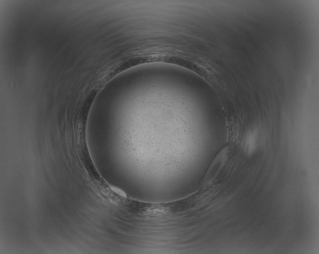 X0000051860283200506241329