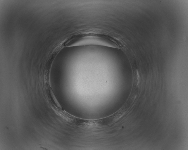 X0000051860284200506241329