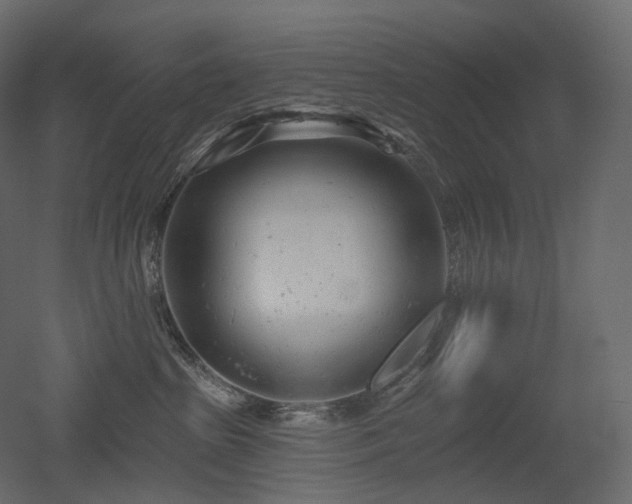 X0000051860285200506241329