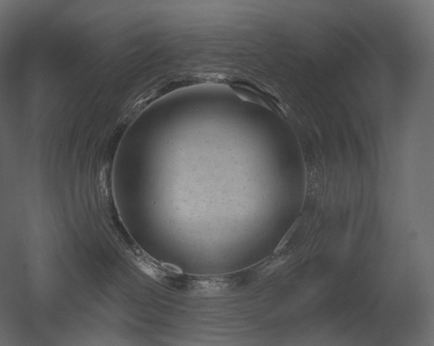 X0000051860286200506241329