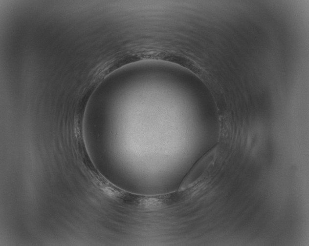 X0000051860287200506241329