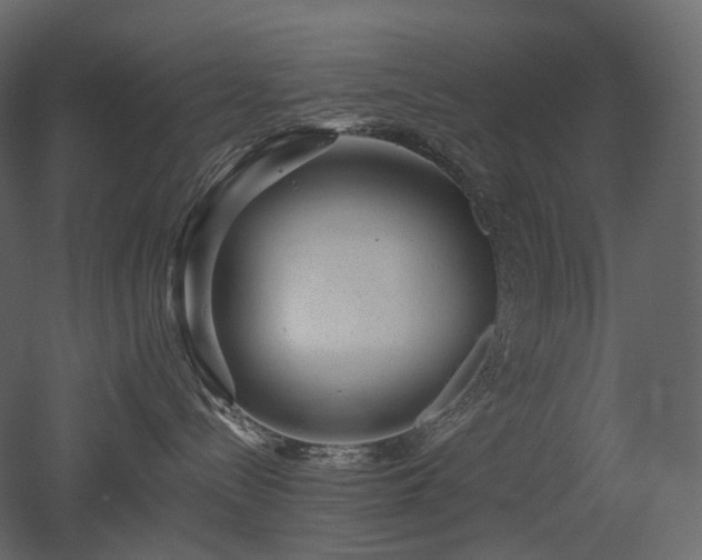 X0000051860288200506241329