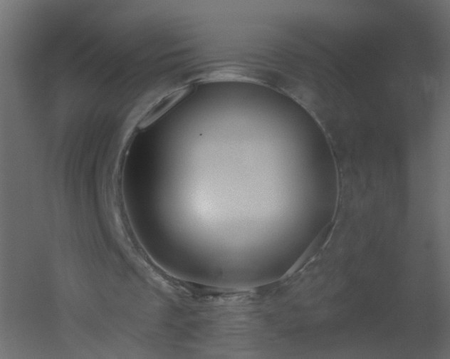 X0000051860289200506241328