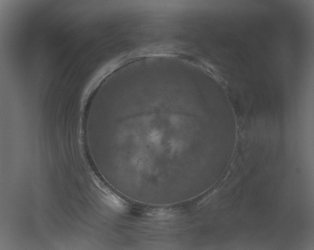 X0000051860293200506241328