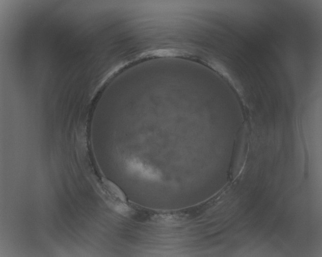 X0000051860297200506241328