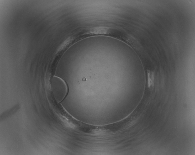 X0000051860300200506241328