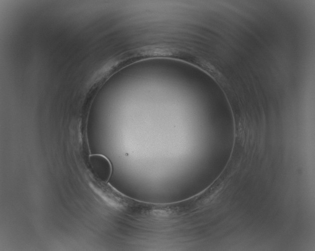 X0000051860302200506241328