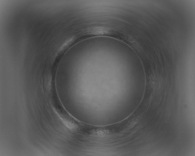 X0000051860304200506241328