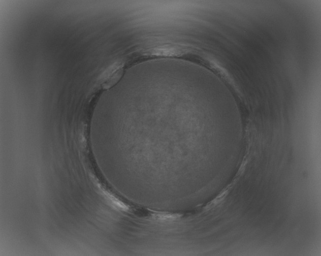 X0000051860305200506241328