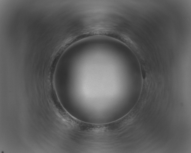 X0000051860306200506241328