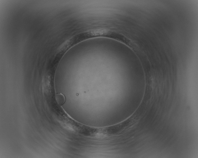 X0000051860308200506241328