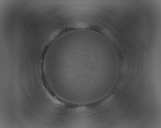 X0000051860309200506241328