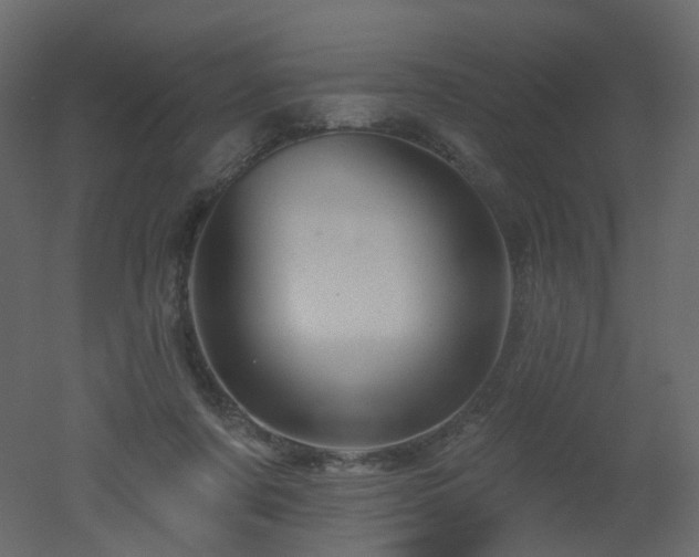 X0000051860311200506241328