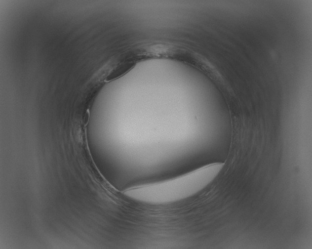 X0000051860313200506241328