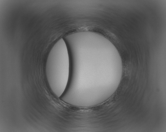 X0000051860314200506241328