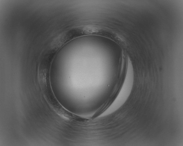 X0000051860315200506241328