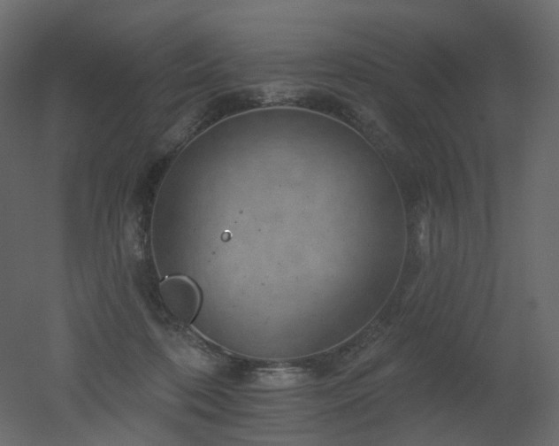 X0000051860316200506241328