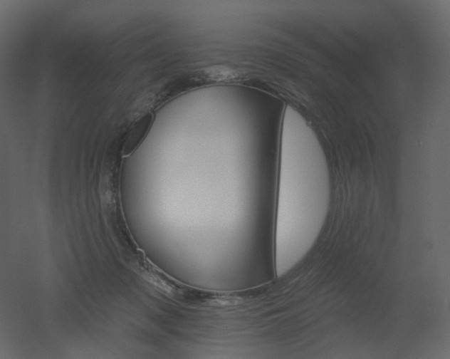 X0000051860317200506241328