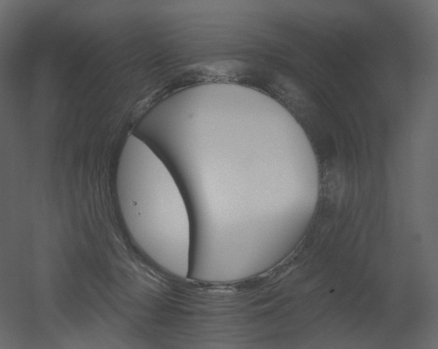 X0000051860318200506241328