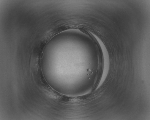 X0000051860319200506241328