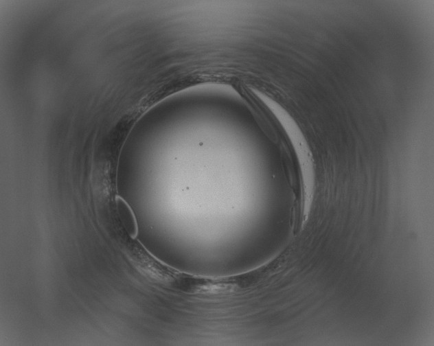 X0000051860323200506241328