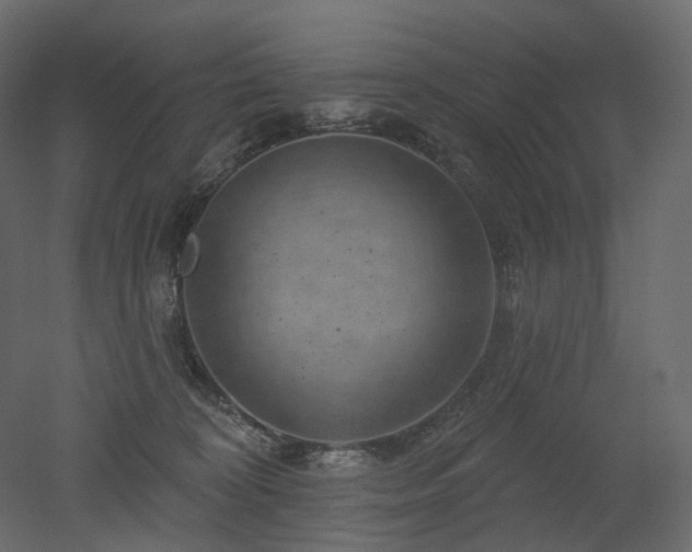 X0000051860324200506241328