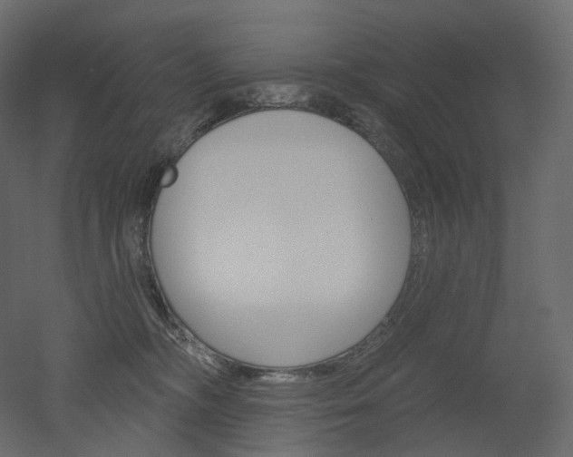 X0000051860326200506241328