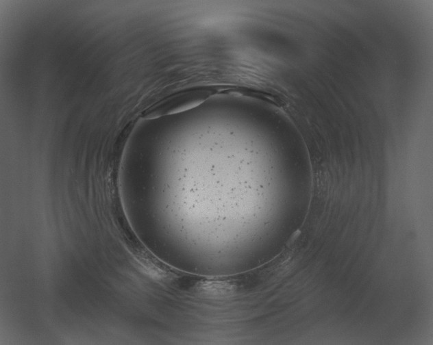 X0000051860327200506241328