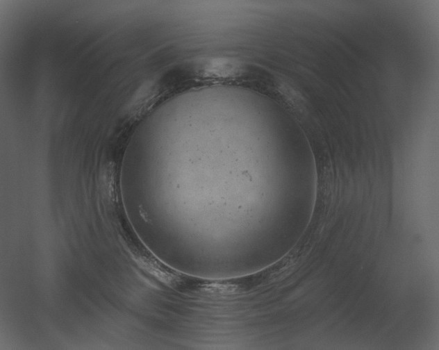 X0000051860328200506241328