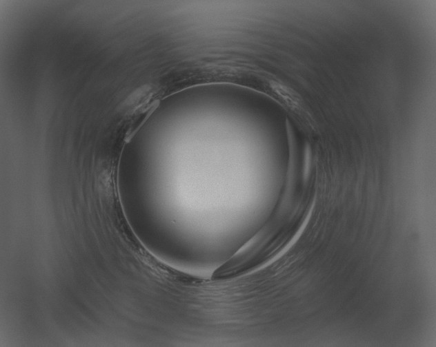 X0000051860329200506241328