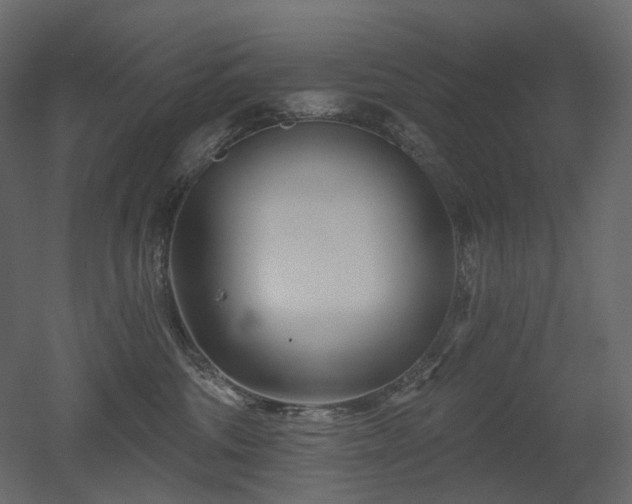 X0000051860330200506241328