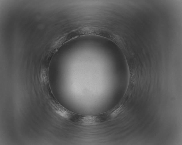 X0000051860335200506241327