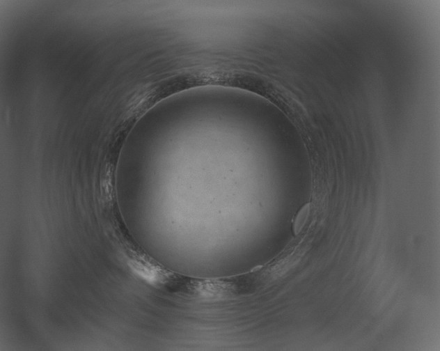 X0000051860336200506241327